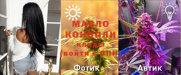 твердый Инта