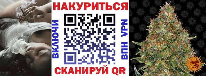 Конопля план купить закладку Южно-Сухокумск